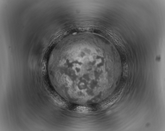 X0000101150699200806270944