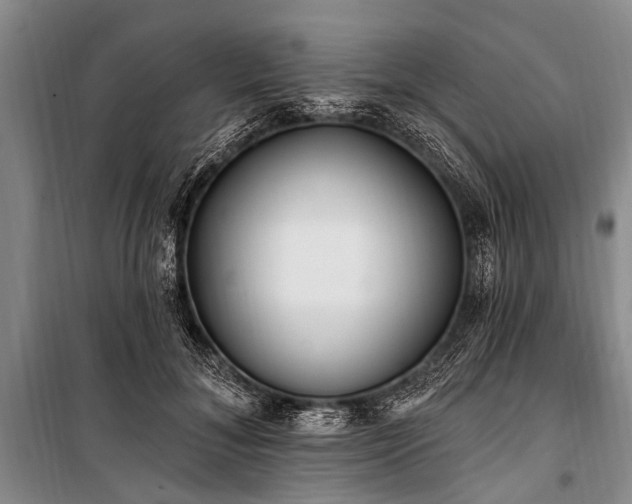 X0000101150700200806270943