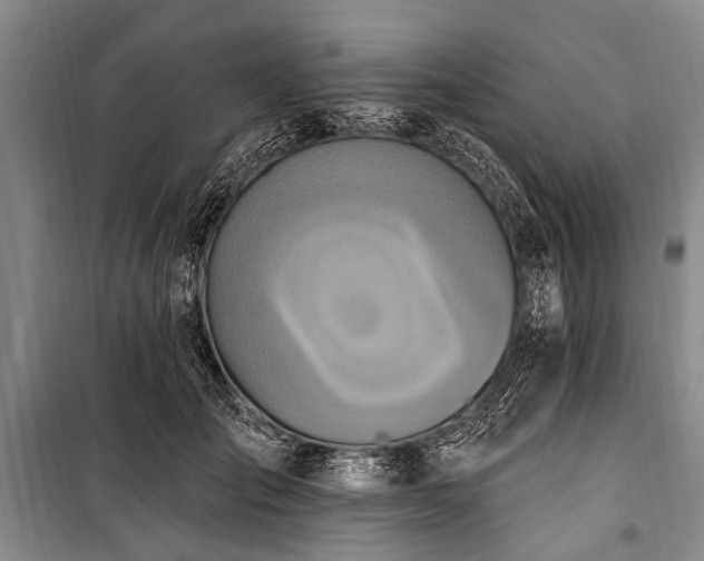X0000101150701200806270943