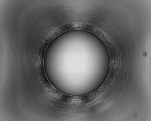 X0000101150702200806270943