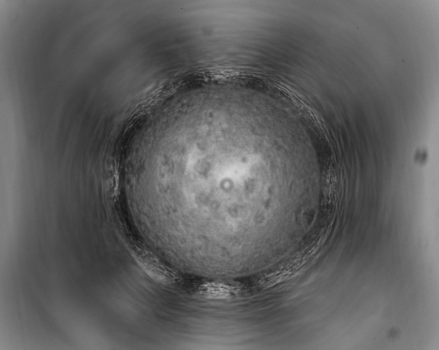 X0000101150703200806270943