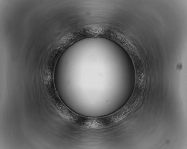 X0000101150704200806270943