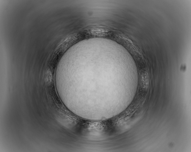 X0000101150705200806270943