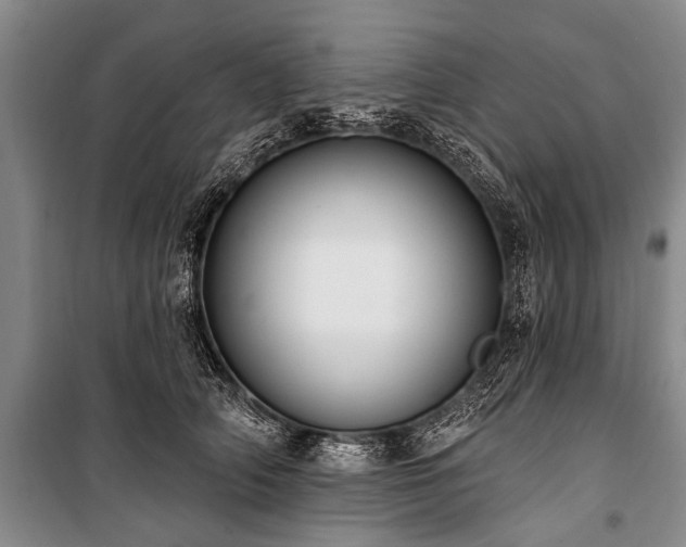 X0000101150706200806270943