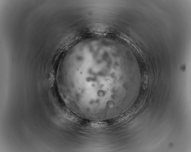 X0000101150707200806270943