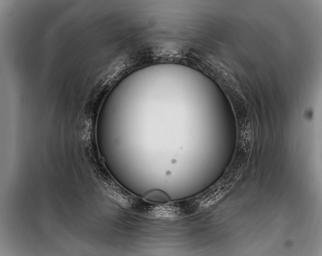 X0000101150708200806270943
