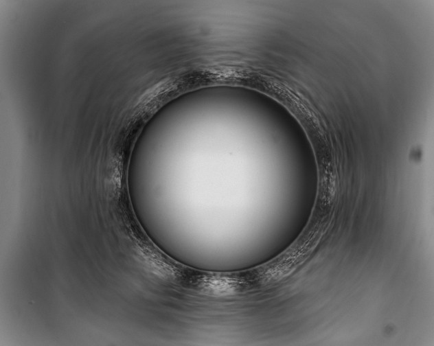 X0000101150710200806270943