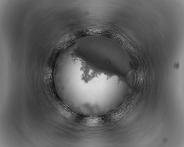 X0000101150711200806270943
