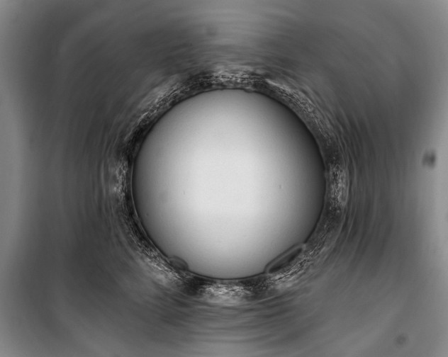 X0000101150712200806270943