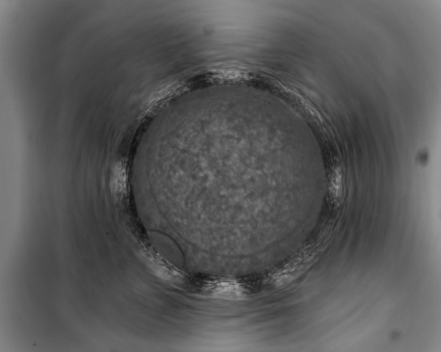 X0000101150715200806270943