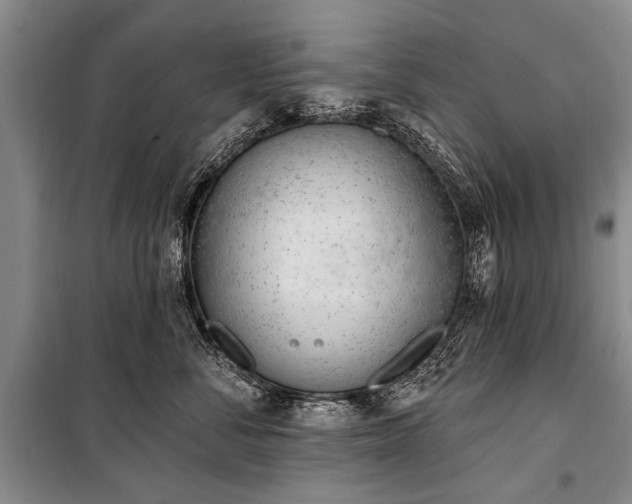 X0000101150716200806270943