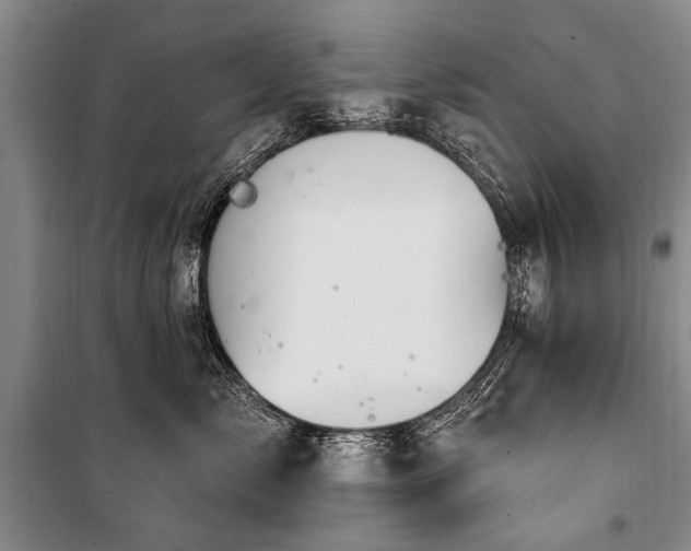 X0000101150717200806270943