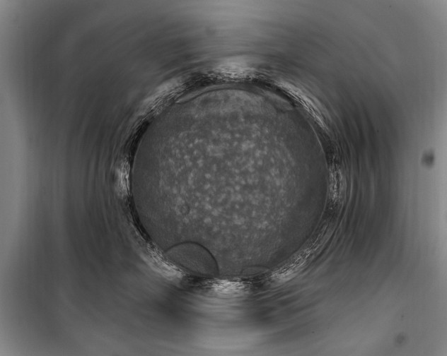 X0000101150718200806270943