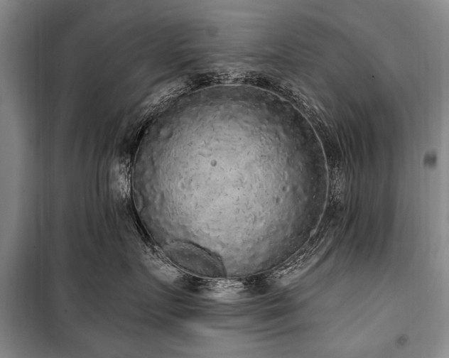 X0000101150719200806270943