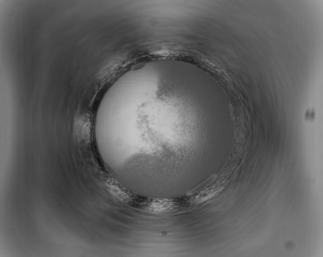X0000101150720200806270943