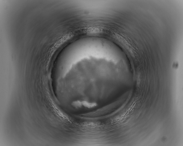 X0000101150721200806270943