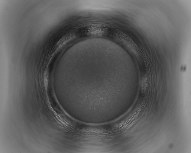 X0000101150722200806270943