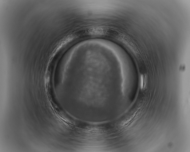 X0000101150723200806270943
