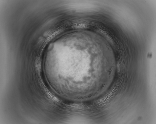 X0000101150725200806270943