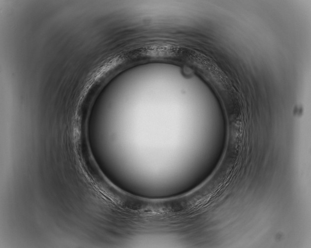 X0000101150727200806270943