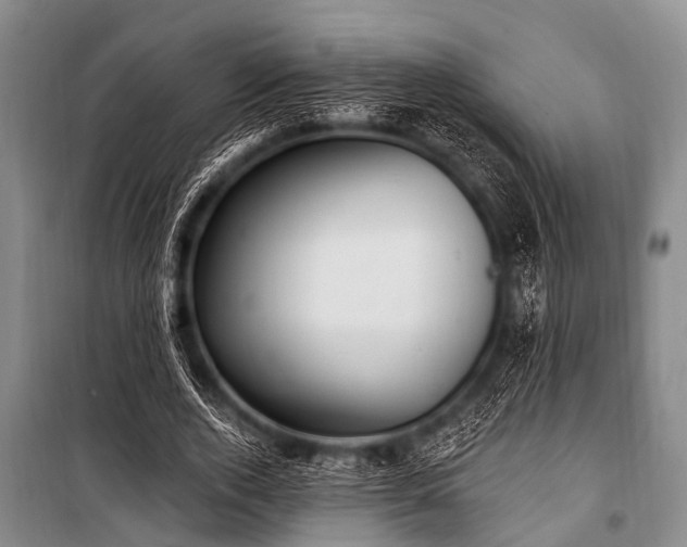 X0000101150728200806270943