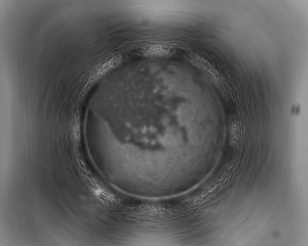 X0000101150729200806270943