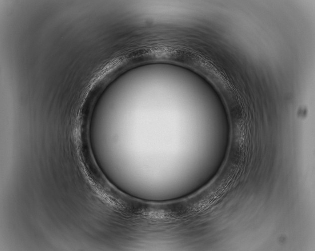 X0000101150730200806270943