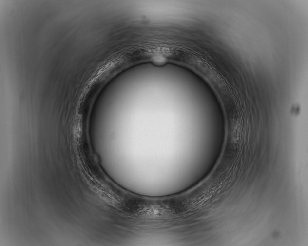 X0000101150731200806270943