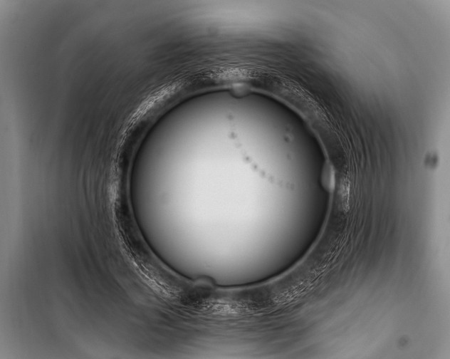 X0000101150732200806270943