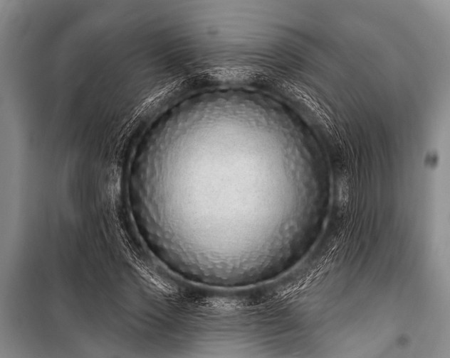 X0000101150733200806270943