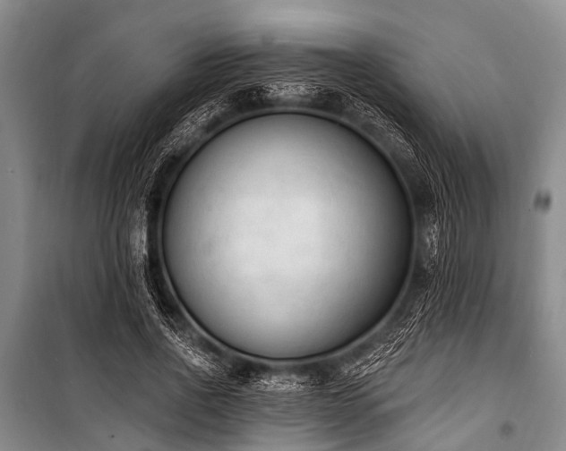 X0000101150734200806270943