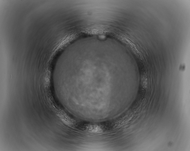 X0000101150735200806270943