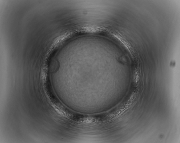 X0000101150736200806270943