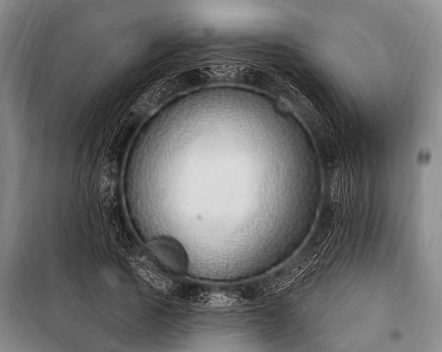 X0000101150737200806270943