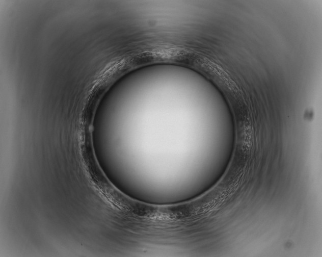 X0000101150738200806270943