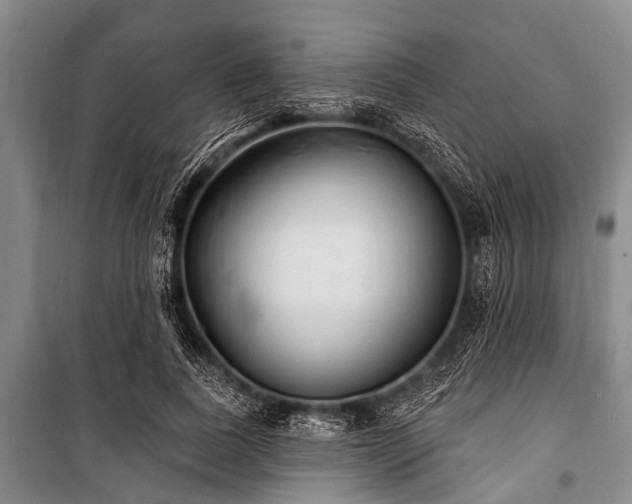 X0000101150739200806270943