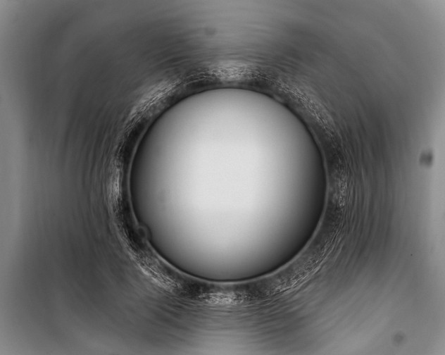 X0000101150740200806270943