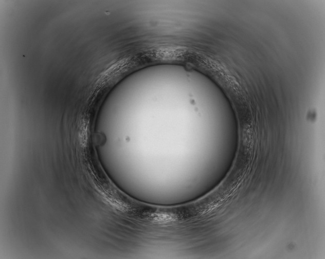 X0000101150741200806270943