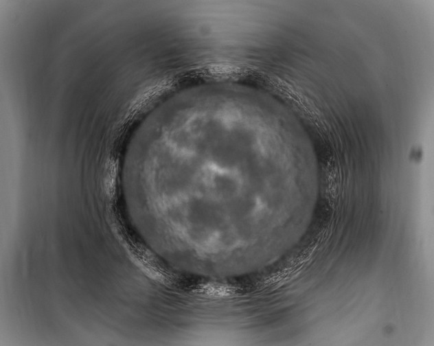 X0000101150742200806270943