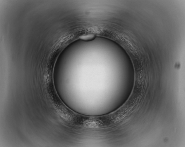 X0000101150743200806270943