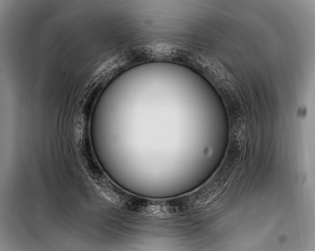 X0000101150744200806270943