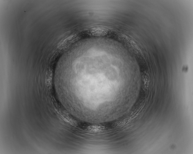 X0000101150745200806270943