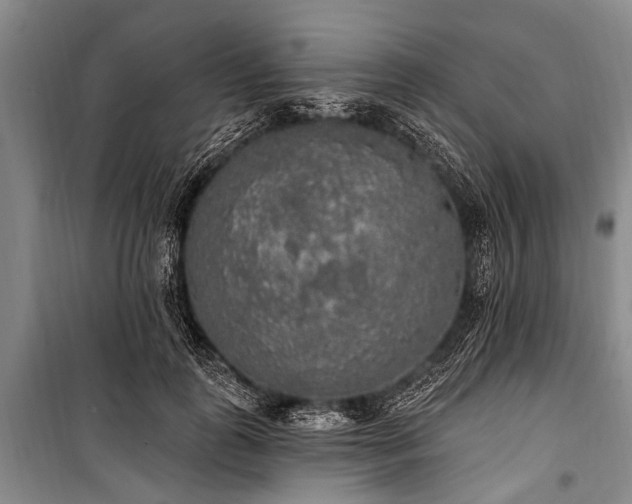 X0000101150747200806270943