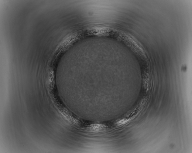 X0000101150748200806270943