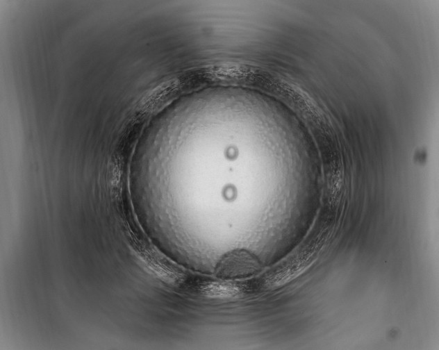 X0000101150749200806270943