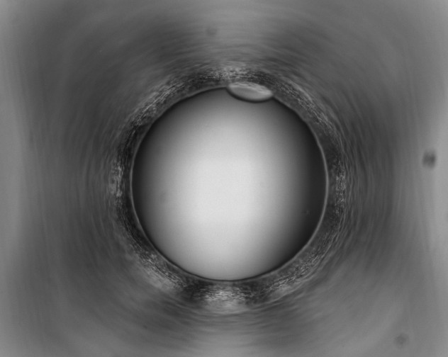 X0000101150750200806270943