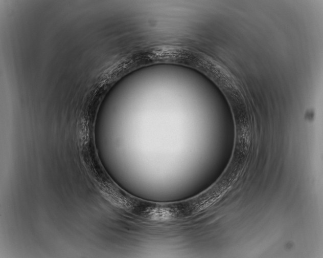 X0000101150751200806270943