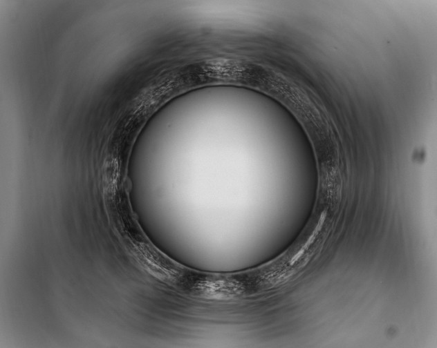X0000101150752200806270943