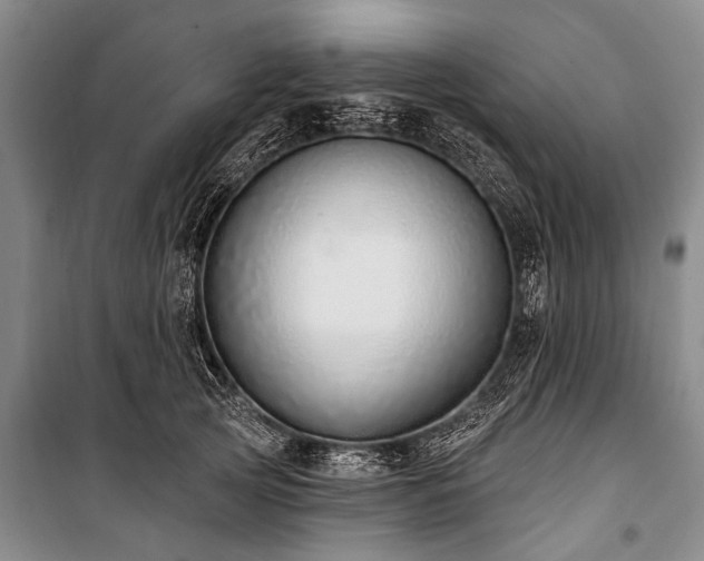 X0000101150753200806270943