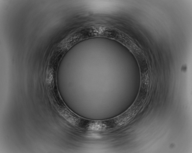 X0000101150754200806270943